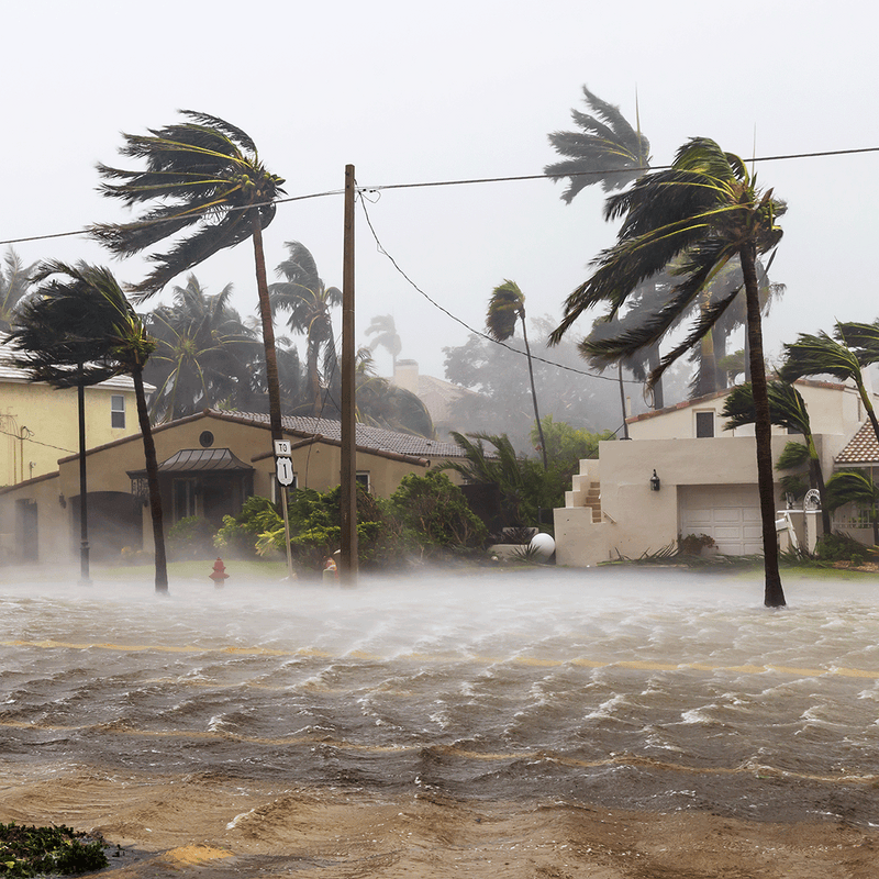 Hurricane Season is Here: Essential Saltwater Solutions for Coastal Protection