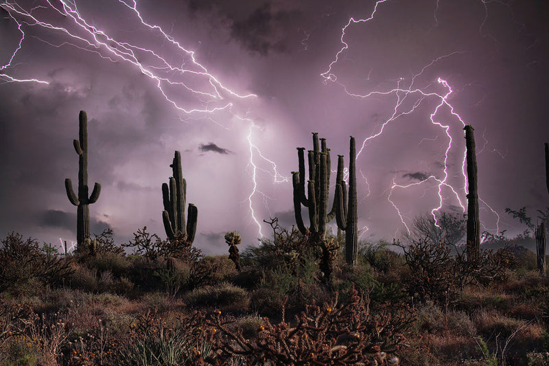 Flash Flooding Ahead! How Quick Dam Can Help Protect You This Monsoon Season