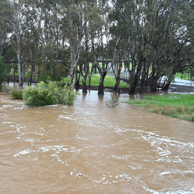 River Flooding