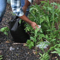 Emptying the eco-friendly water absorbing polymer contents of a Quick Dam Flood Bag into a garden to hold moisture and nourish plants.
