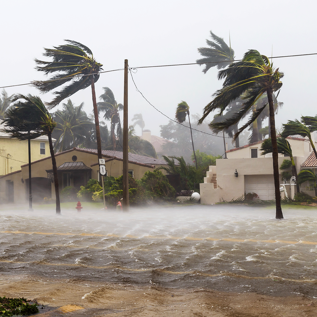 Essential Saltwater Solutions for Coastal Protection – Quick Dams