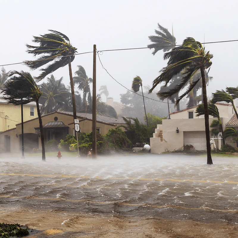 Essential Saltwater Solutions for Coastal Protection