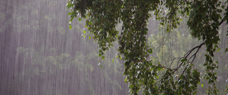 Protect Your Home from Spring Rain and Snowmelt