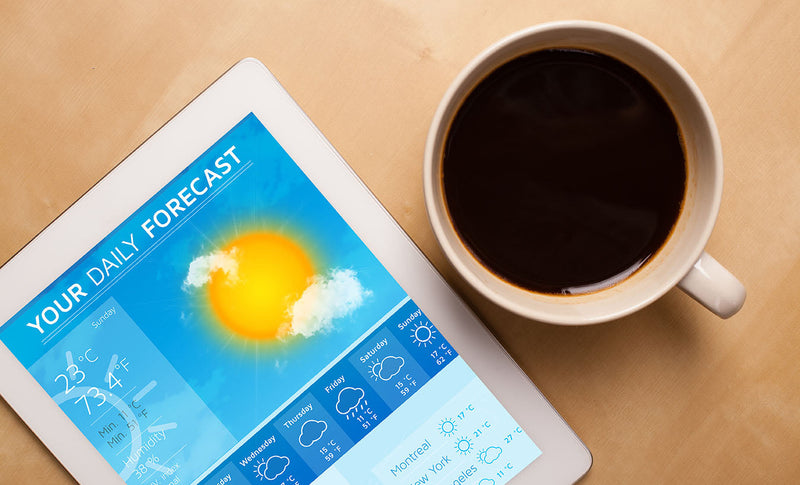 Read Between the Rain Lines: Understand Weather Reports like a Quick Dam Pro