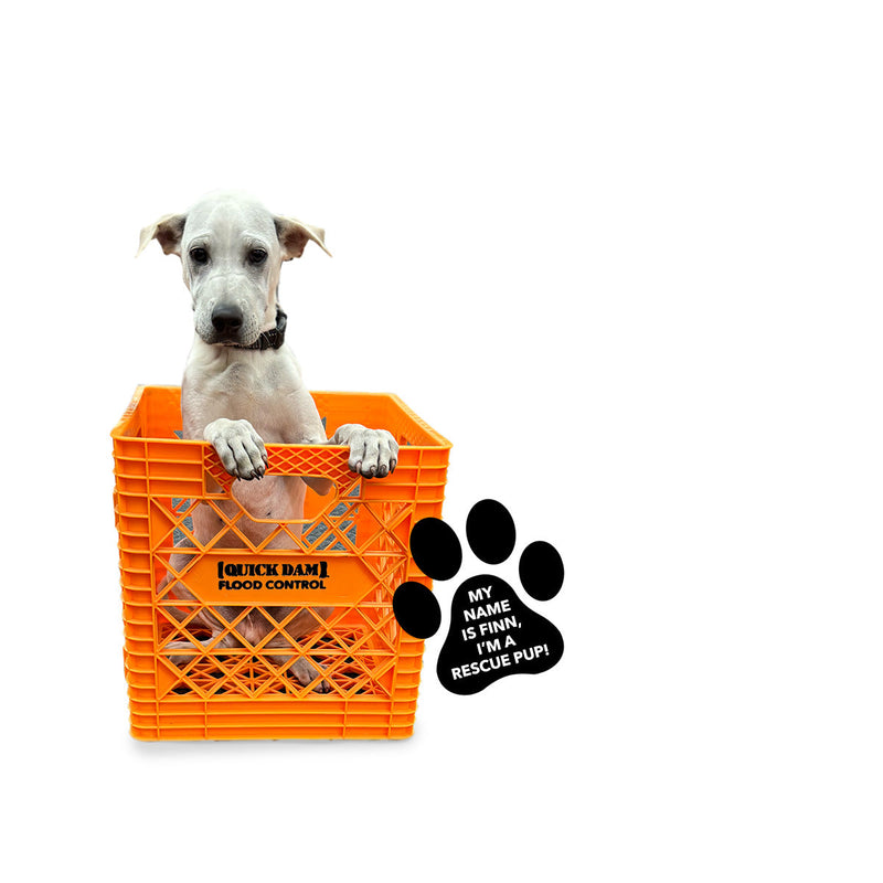 Embrace Pet Prep Month with Quick Dam Call to Animal Lovers