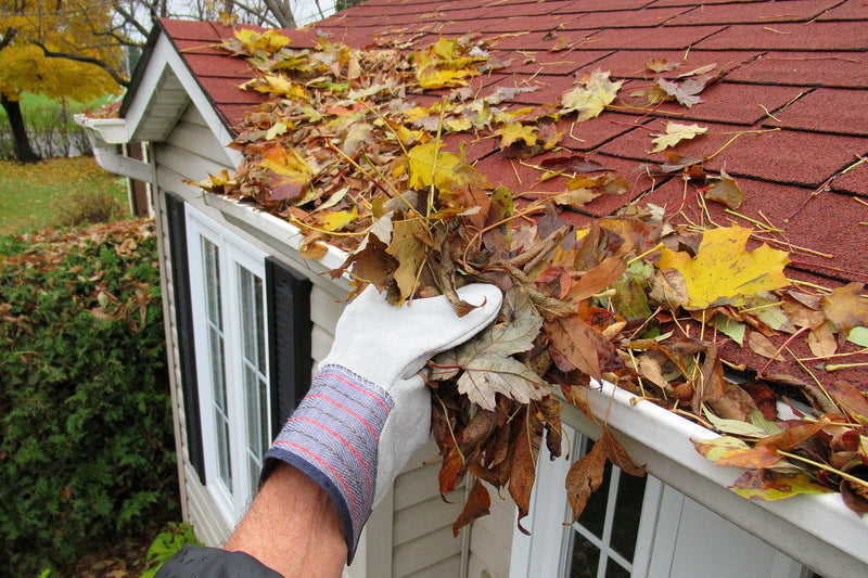 How to Prepare Your House for Fall: A Complete Home Protection Checklist