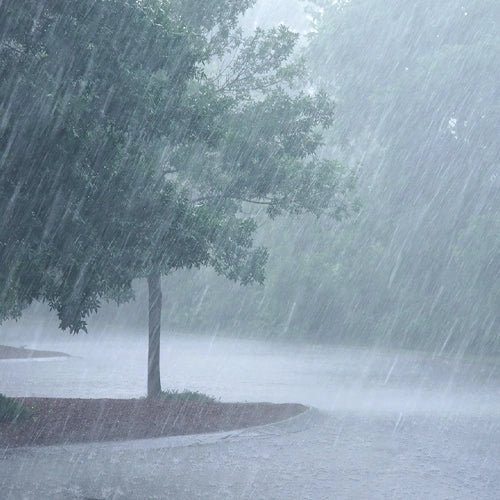 Strengthen Your Defenses Against Severe U.S Weather