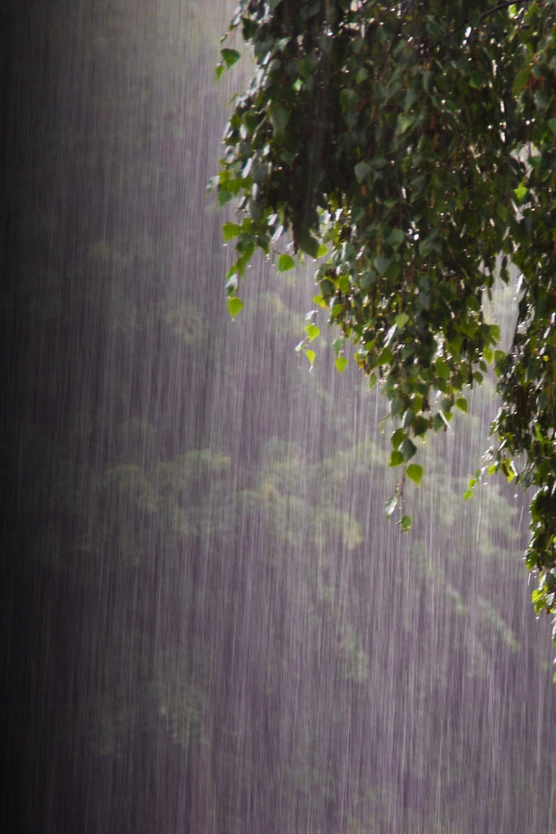 Raindrops falling on a dark surface with green leaves in the foreground