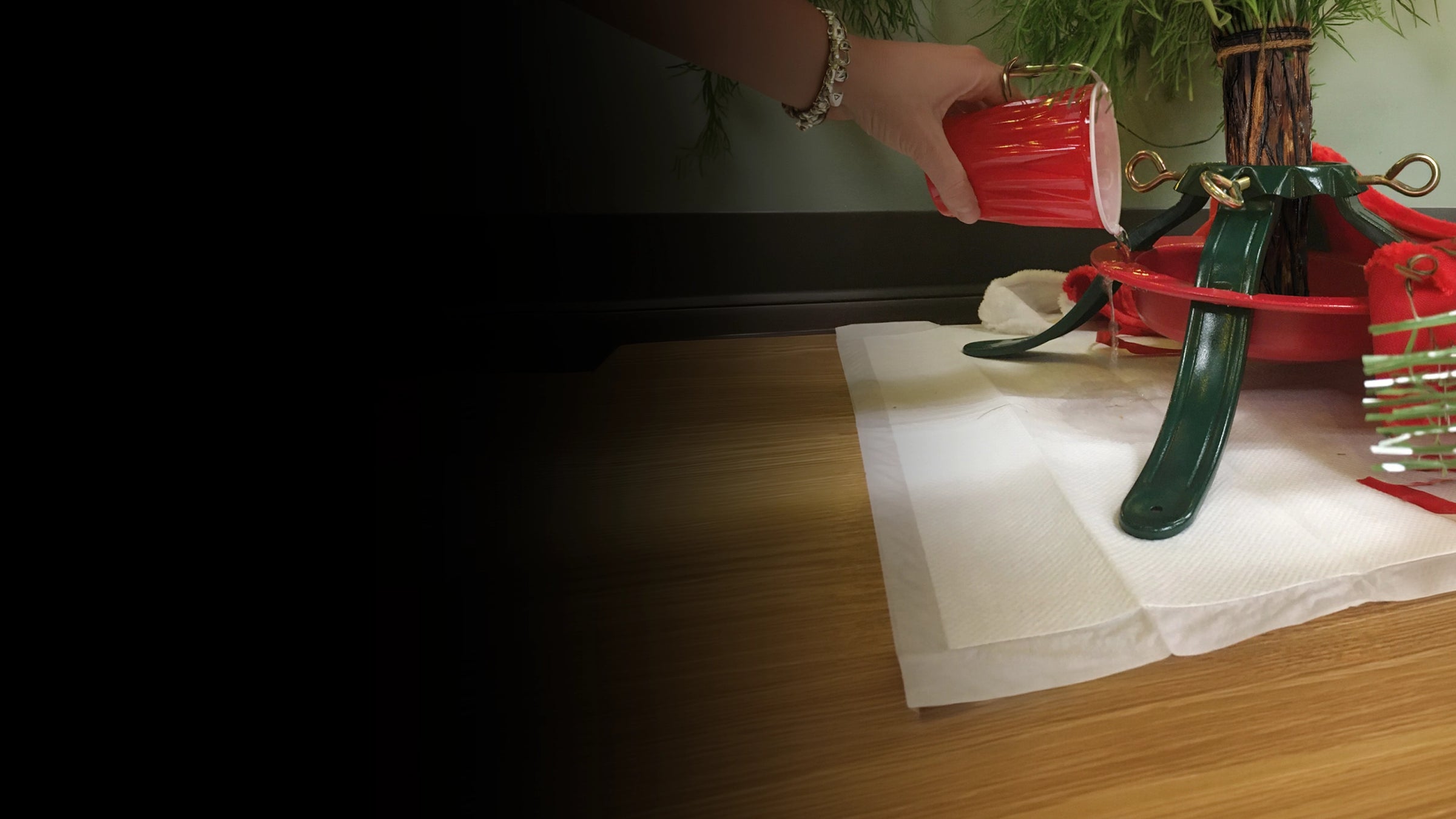 Person watering a Christmas tree